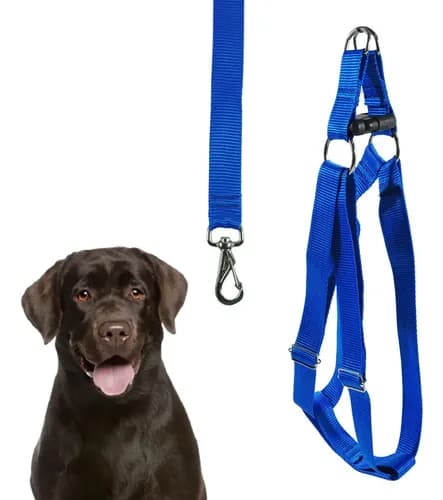 Peitoral com guia para cães