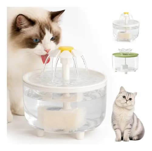 Fonte bebedouro para gatos